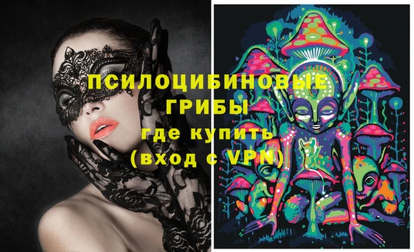 эйфоретик Аркадак